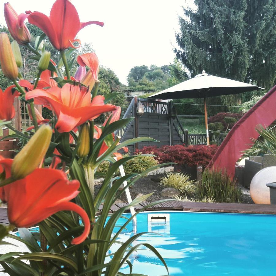 Haus Steffi Homestay Mullheim (Baden-Wurttemberg)