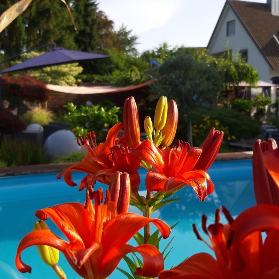 Haus Steffi Mullheim (Baden-Wurttemberg)